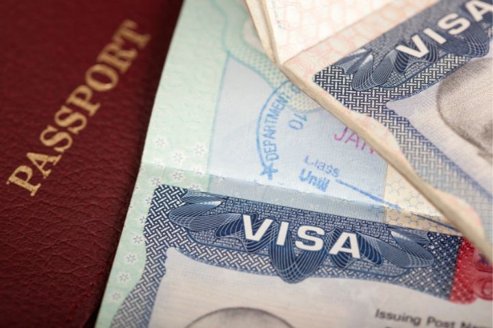 Application & Visa Guidance